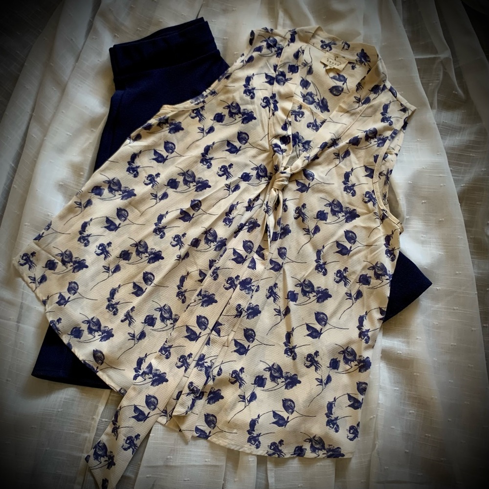 Blue and Cream Set